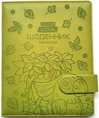 ЩОДЕННИК Шкільний 167х211мм, 48арк, оф 70г/м2, блок однокольоровий укр. мов. Обкладинка КОЖЗАМ тверда, округлення кутів. Тиснення зображення + Застібка магнітна. Форзац чистий. Індивідуальне упакування (у ящ. 1 колір обкл.), SD1600