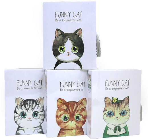 DSCN4091 Блокнот в коробці на замочку 