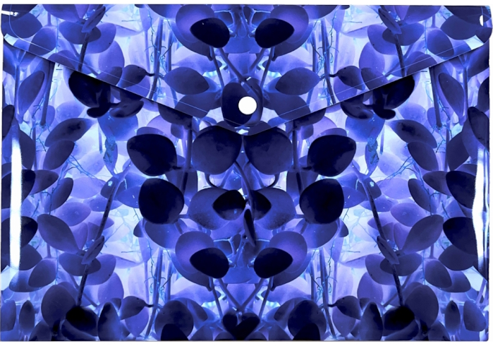 Папка-конверт А4 на кнопці з друком Violet, 180 мкм, непрозора, фактура 