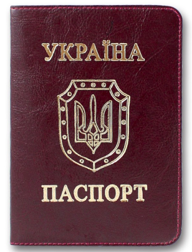 ОВ-8 Обл. Паспорт Sarif бордовий Ф.100х135 Кр.кут