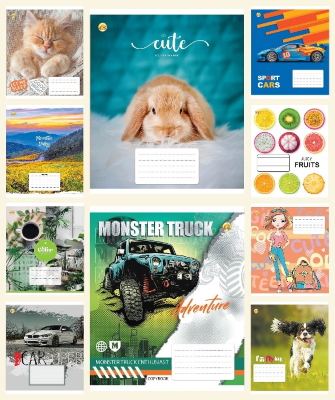 Зошит 12 арк.лінія Тверда ТЕ22105 12ЛВ1 МІКС, 25/600, 10к.