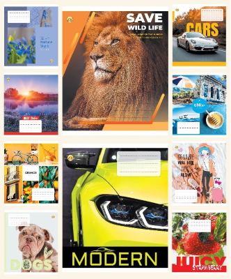 Зошит 18 арк.клітинка Тверда ТЕ21213 18КВ1 МІКС, 20/400, 10к.