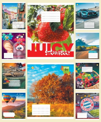 Зошит 18 арк.клітинка Тверда ТЕ21216 18КВ4 МІКС, 20/400, 10к.