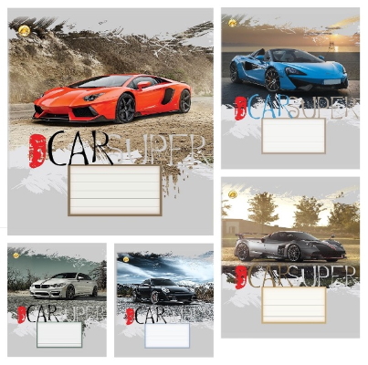 Зошит 24 арк.клітинка Тверда ТЕ21301 Авто, 20/320