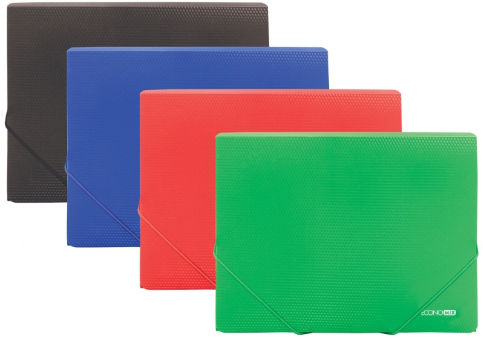 Папка пластикова А4 на гумках Economix, фактура 