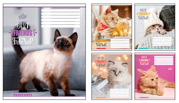 Зошит 12арк.оф.=ТВ-107 №2358 Кращi друзi