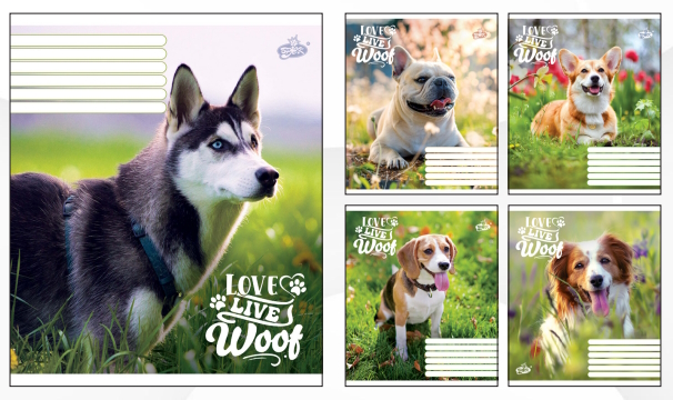 Зошит 12арк.оф.#ТВ-107 №2483 Прогулянка на природi