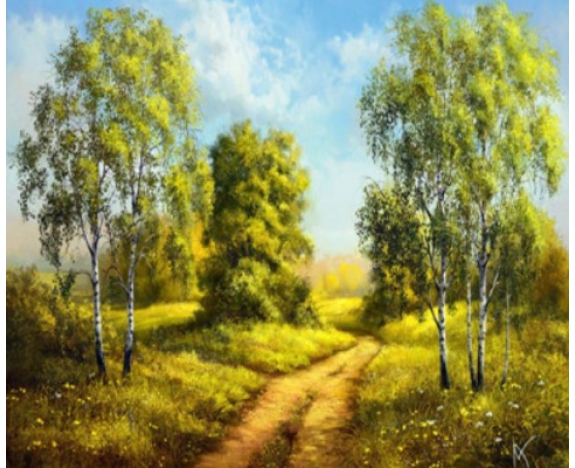 Y5353_B Розк-ка за номером. 40*50см 