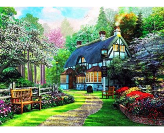 EOTG6445_B Розк-ка за номером. 40*50см 
