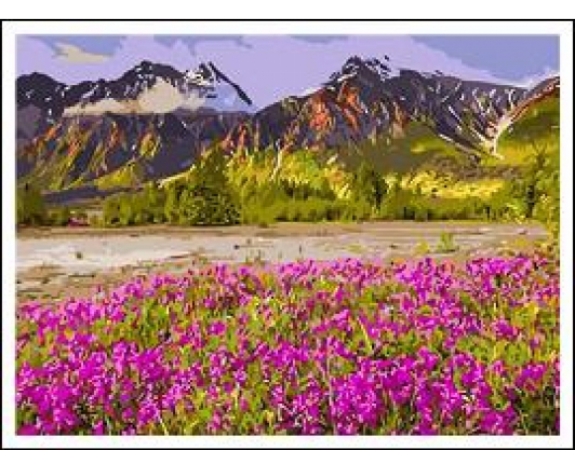RA5095_B Розк-ка за номером. 40*50см 