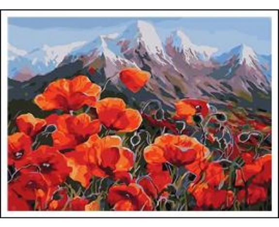 RA5284_B Розк-ка за номером. 40*50см 