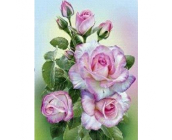 GLD61260_B Алмазна мозаїка за номерами 30*40 
