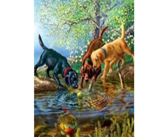 GLE70578_B Алмазна мозаїка за номерами 40*50 