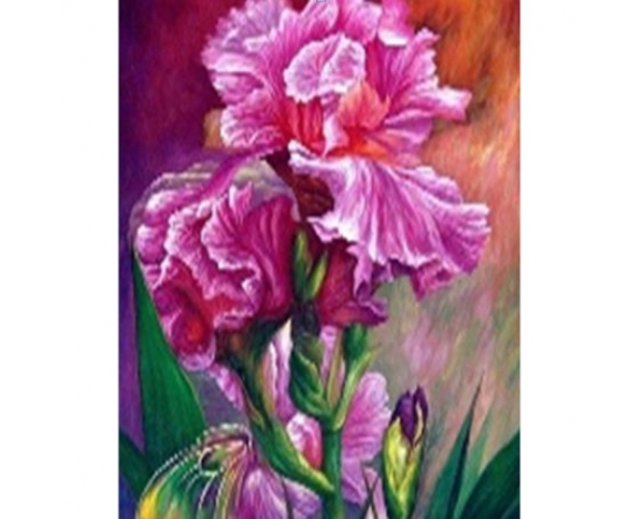 GLE70900_B Алмазна мозаїка за номерами 40*50 