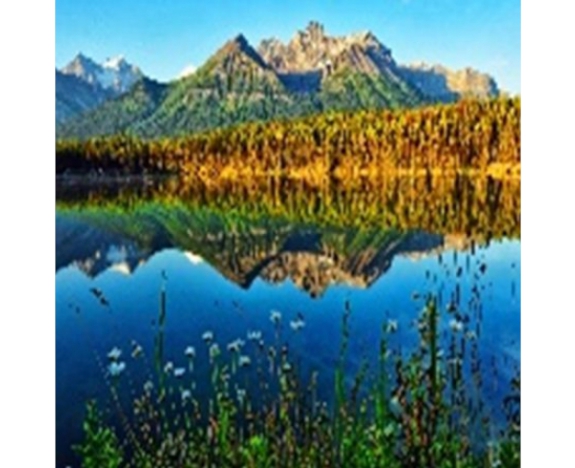 GLE71082_B Алмазна мозаїка за номерами 40*50 