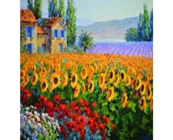 GLE71116_B Алмазна мозаїка за номерами 40*50 