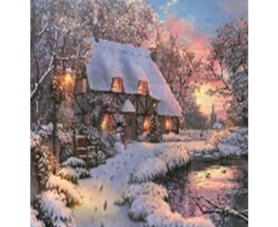 GLE71133_B Алмазна мозаїка за номерами 40*50 