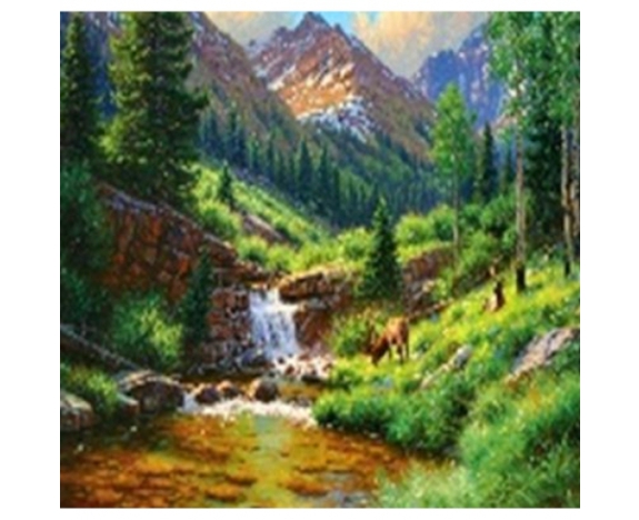 GLE71171_B Алмазна мозаїка за номерами 40*50 