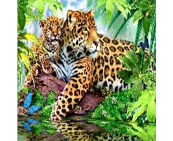 GLE71183_B Алмазна мозаїка за номерами 40*50 