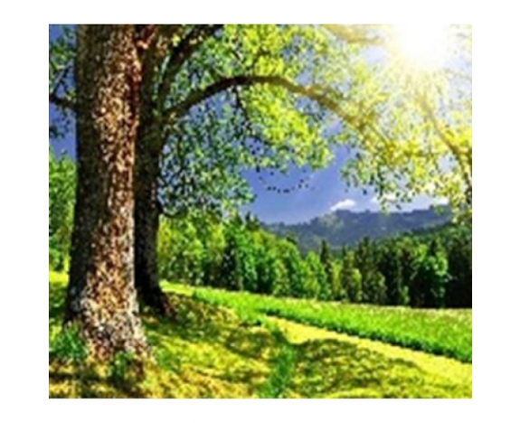GLE71384_B Алмазна мозаїка за номерами 40*50 