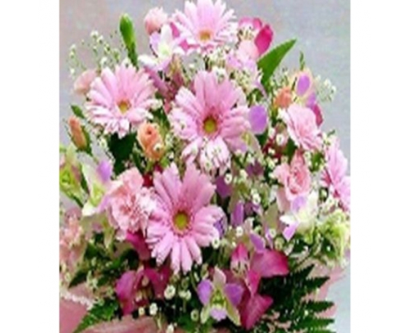 GLE71529_B Алмазна мозаїка за номерами 40*50 