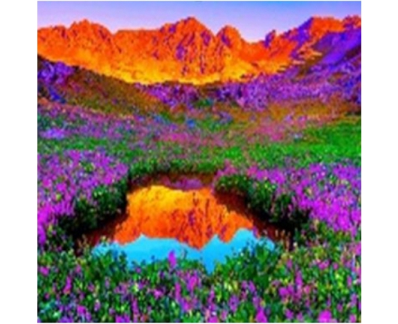 GLE71653_B Алмазна мозаїка за номерами 40*50 
