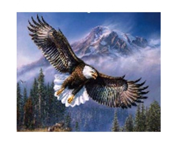 GLE71754_B Алмазна мозаїка за номерами 40*50 