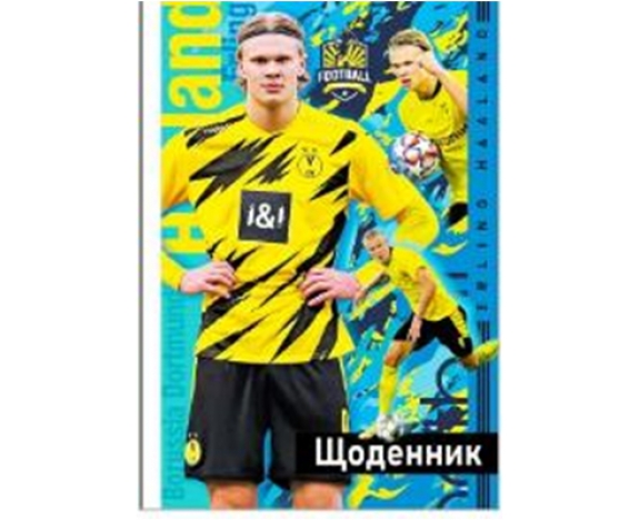 ЩОДЕННИК 165х240 мм, 40арк, офсет 70 г/м2. Обкладинка повнокольорова тверда 7БЦ. Матова ламінація, Вибірковий УФ-лак. Блок повнокольоровий українською мовою. Форзац білий. Круглення корінця. (В 1 уп.1 диз.), диз.13